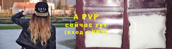 гидра Абаза