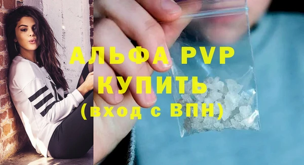 гидра Абаза